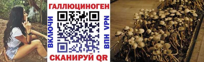 Галлюциногенные грибы мухоморы  Славянск-на-Кубани 