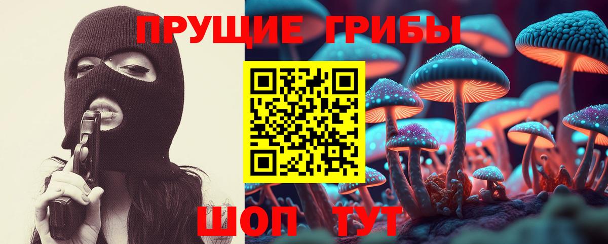 Псилоцибиновые грибы мицелий  Вход с VPN  Славянск-на-Кубани 