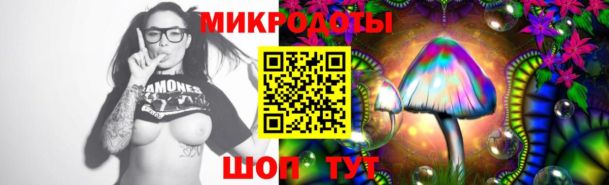 Галлюциногенные грибы Psilocybe Славянск-на-Кубани